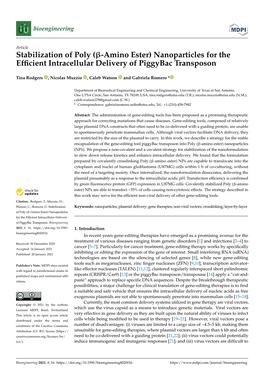 Stabilization of Poly (Β-Amino Ester) Nanoparticles for the Efficient