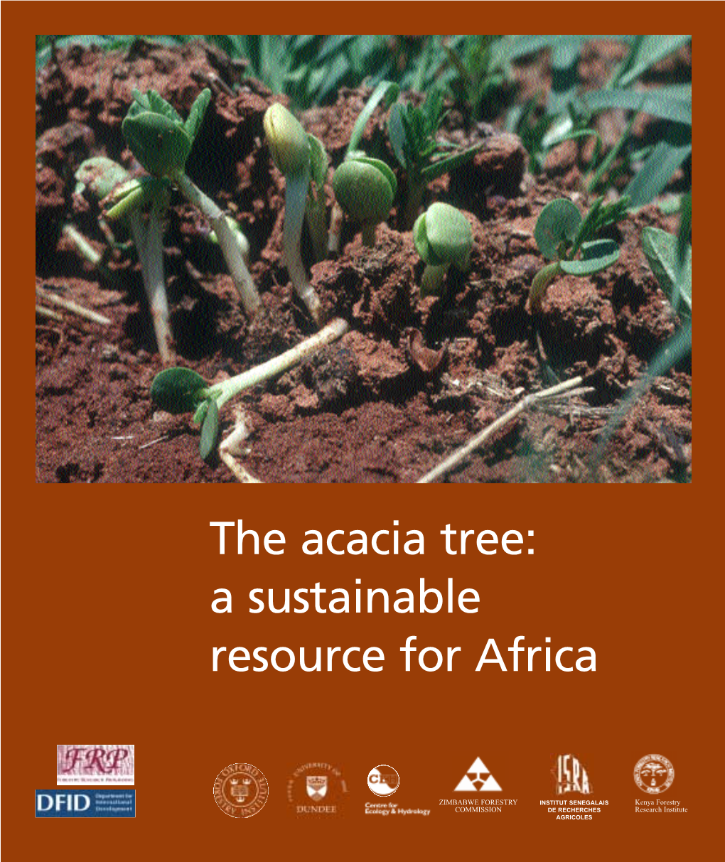 The Acacia Tree: a Sustainable Resource for Africa