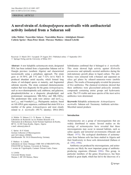 A Novel Strain of Actinopolyspora Mortivallis with Antibacterial Activity Isolated from a Saharan Soil