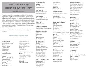 Bird Species List