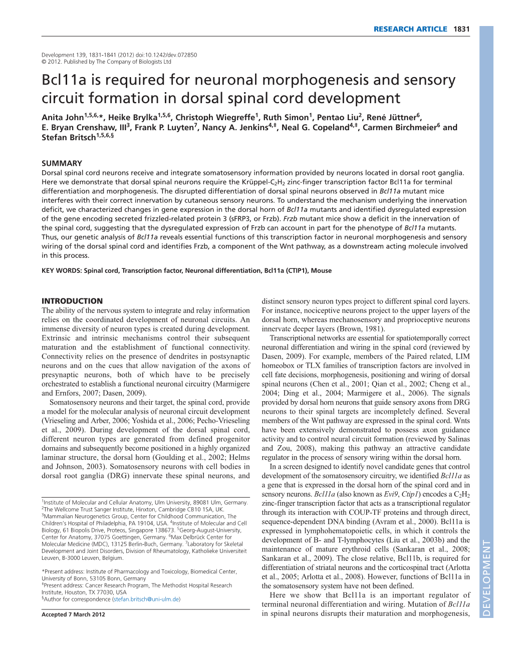 Bcl11a Is Required for Neuronal Morphogenesis and Sensory Circuit