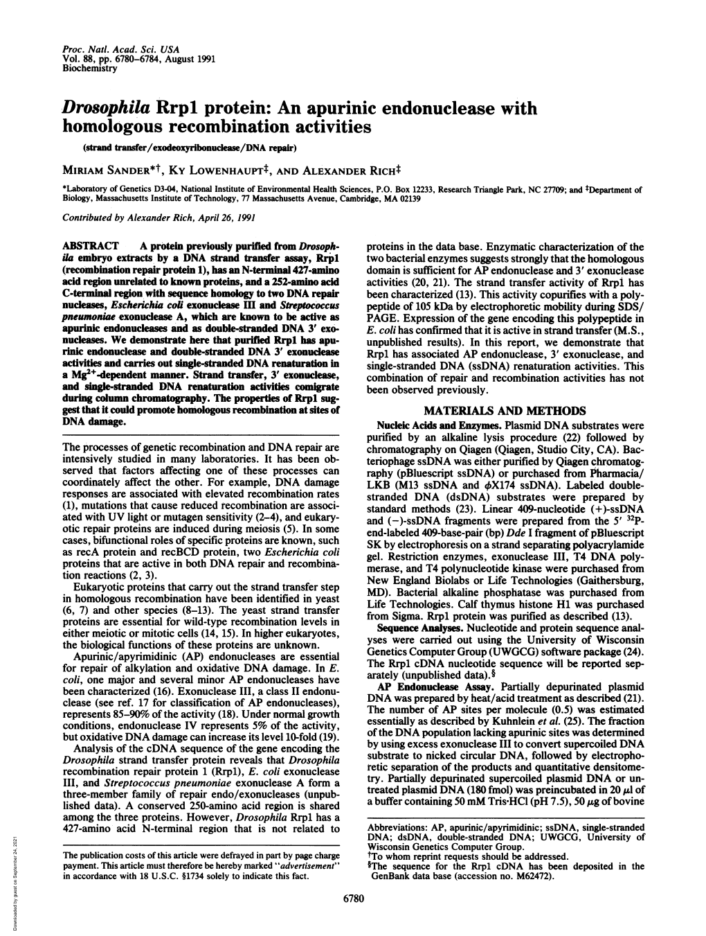 Drosophila Rrpl Protein: an Apurinic Endonuclease with Homologous