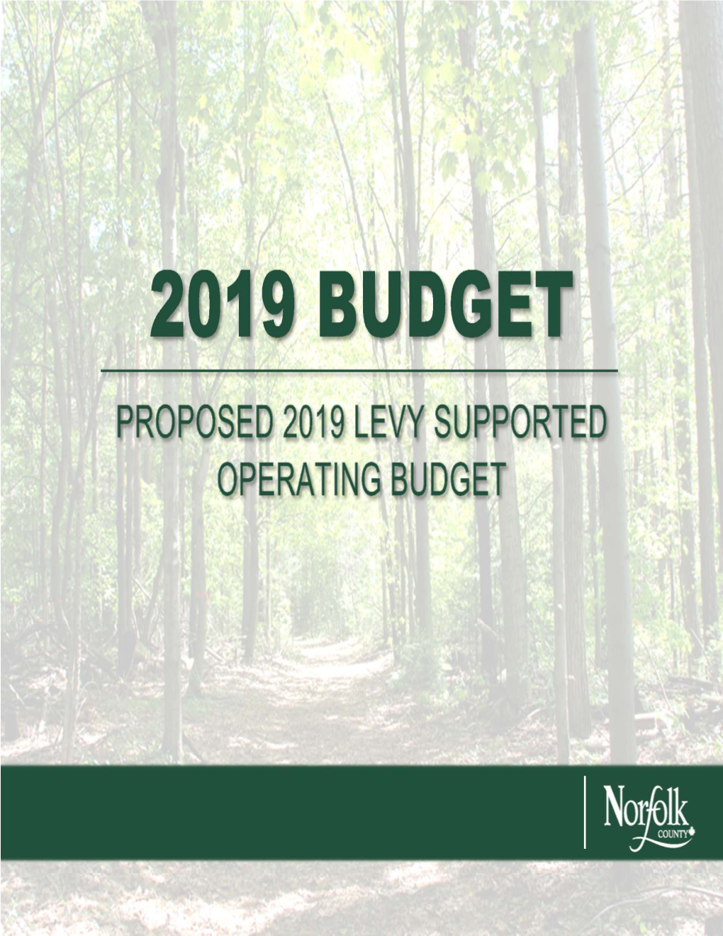 Proposed 2019 Levy Supported Operating Budget Table of Contents