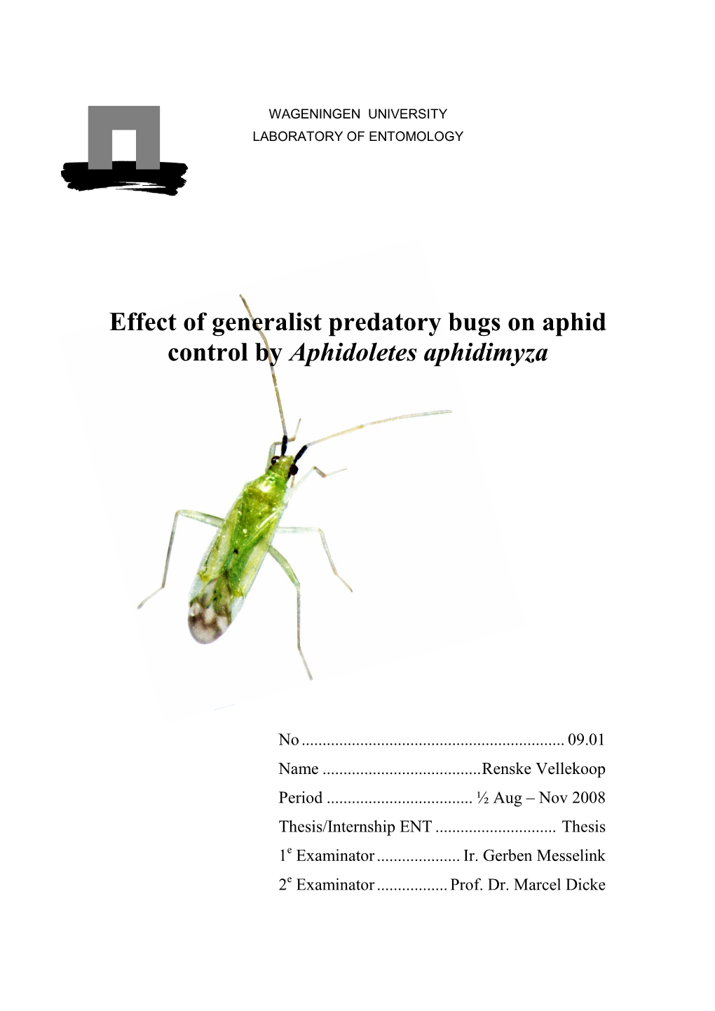 Effect of Generalist Predatory Bugs on Aphid Control by Aphidoletes Aphidimyza