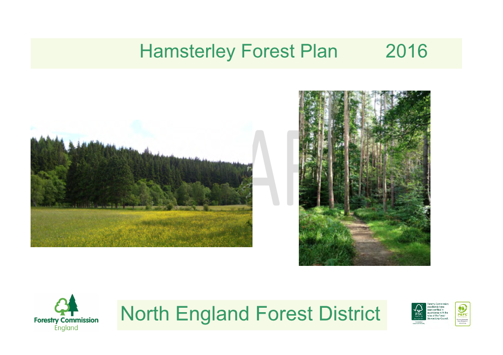 Hamsterley Forest Plan 2016