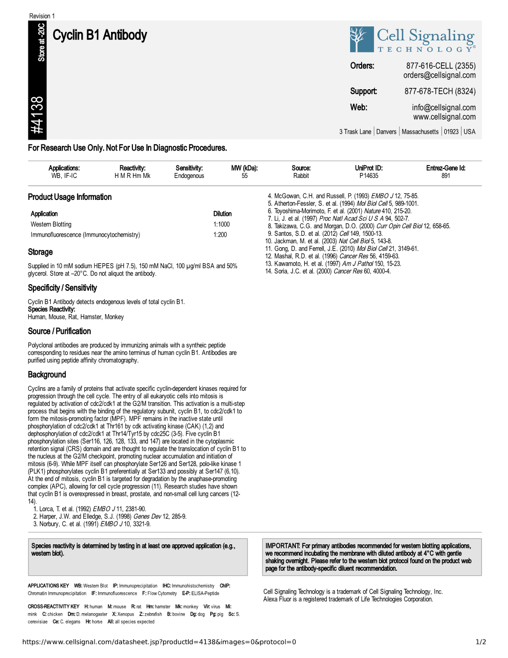 Cyclin B1 Antibody A