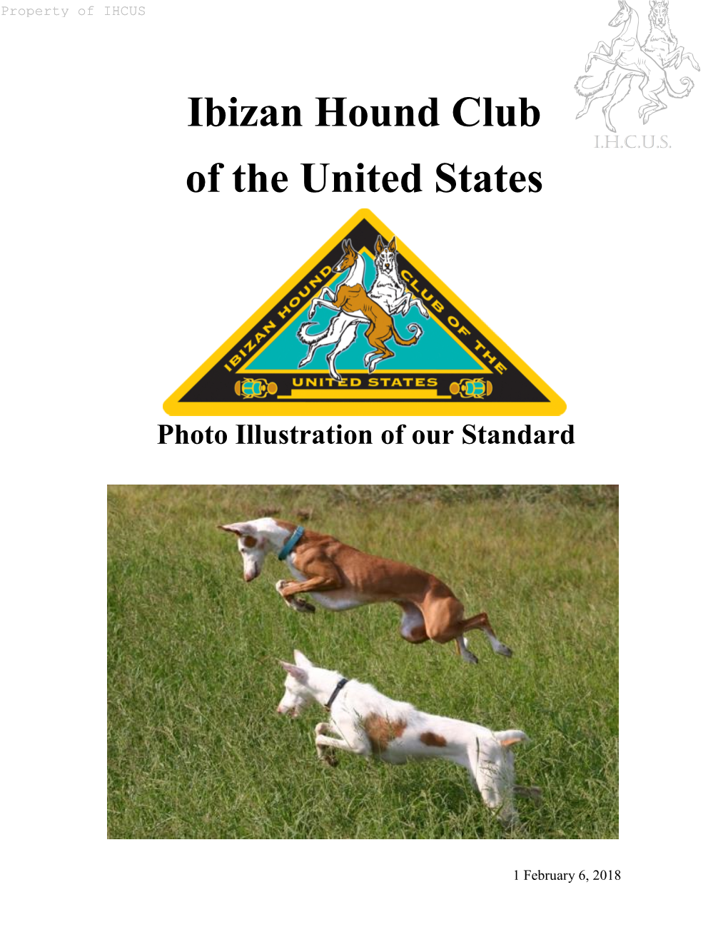 Ibizan Hound Club of the United States Photo Illustration of Our