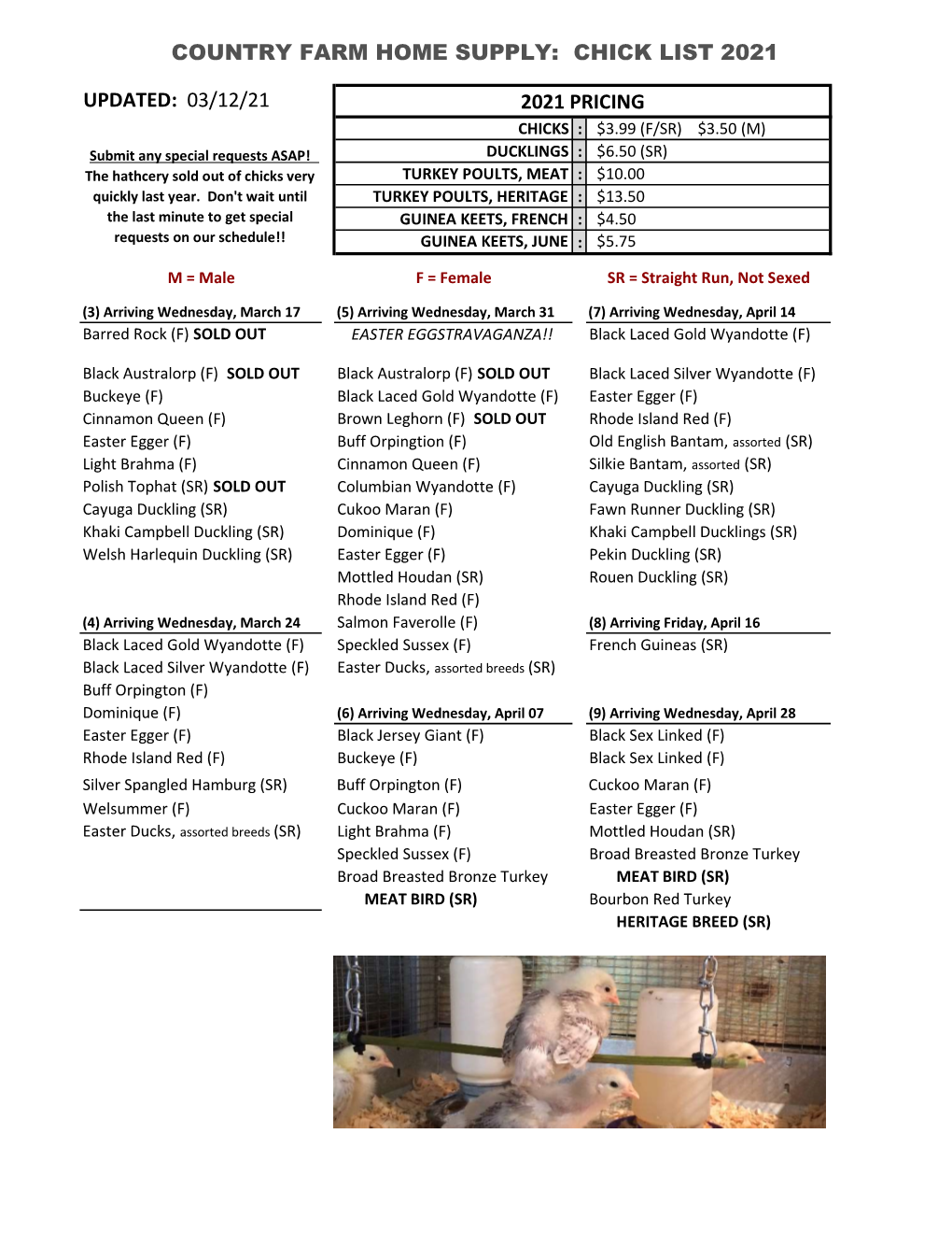 Chick Schedule HANDOUT 2021