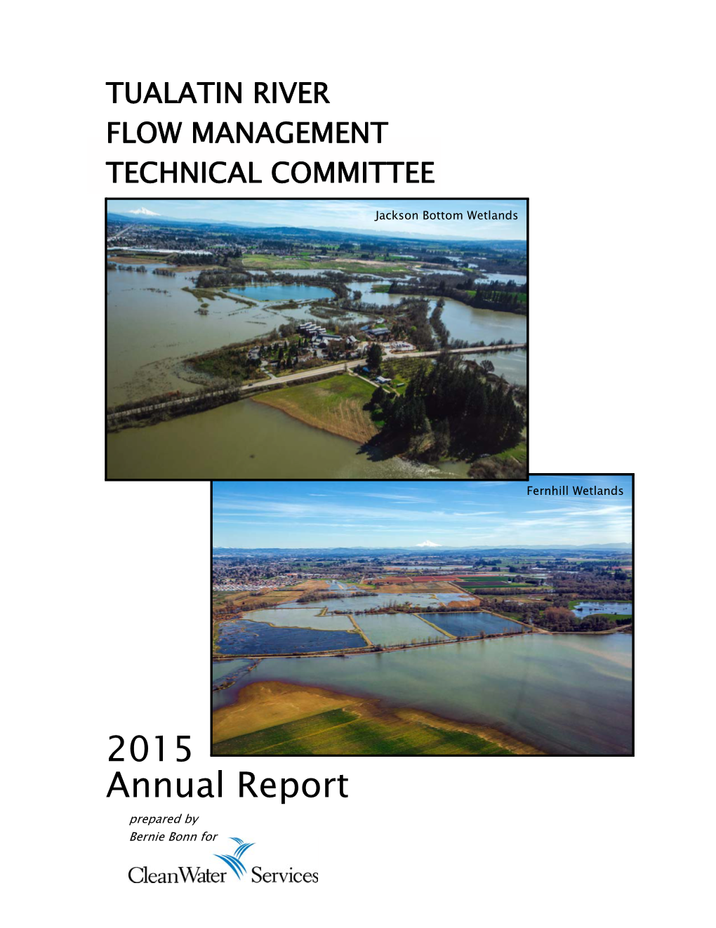 2015 Annual Report