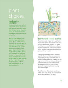 Plant Choices Landscaping Examples Many Types of Plants Are Well Suit- Ed for Onsite Stormwater Manage- Ment