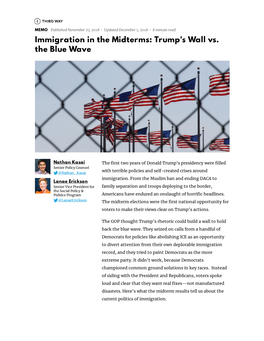 Immigration in the Midterms: Trump's Wall Vs. the Blue Wave