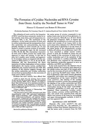 The Formation of Cytidine Nucleotides and RNA Cytosine from Orotic Acid by the Novikoff Tumor in Vitro*