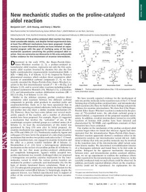 New Mechanistic Studies on the Proline-Catalyzed Aldol Reaction