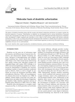 Molecular Basis of Dendritic Arborization