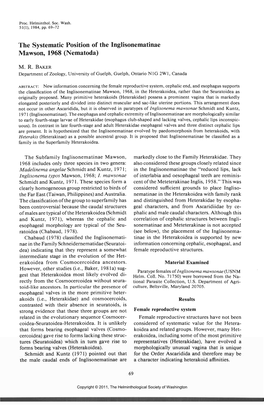 The Systematic Position of the Inglisonematinae Mawson, 1968 (Nematoda)