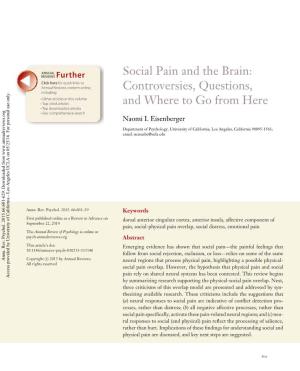 Social Pain and the Brain: Controversies, Questions, and Where to Go from Here