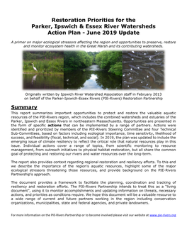PIE Rivers Action Plan 2019 Update