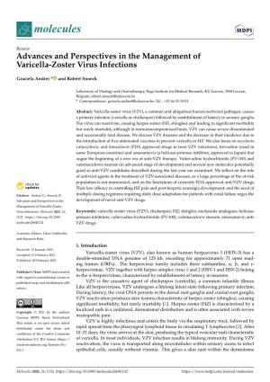 Advances and Perspectives in the Management of Varicella-Zoster Virus Infections