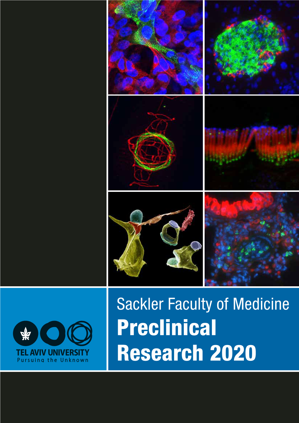 Preclinical Research 2020 Sections