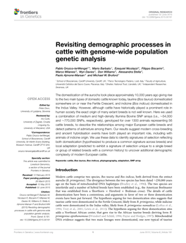 Revisiting Demographic Processes in Cattle with Genome-Wide Population Genetic Analysis