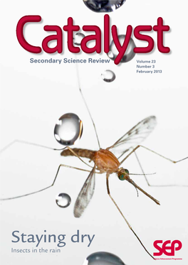 Staying Dry Insects in the Rain the Cover Image Shows a Mosquito in an Artificial Rain Shower
