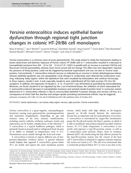 Yersinia Enterocolitica Induces Epithelial Barrier