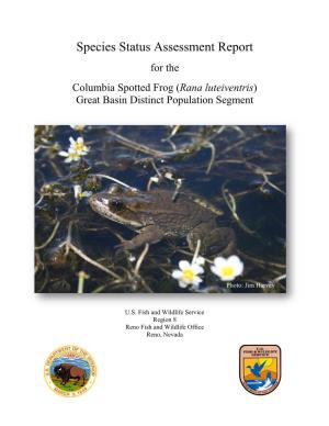 Species Status Assessment Report for the Columbia Spotted Frog (Rana Luteiventris), Great Basin Distinct Population Segment