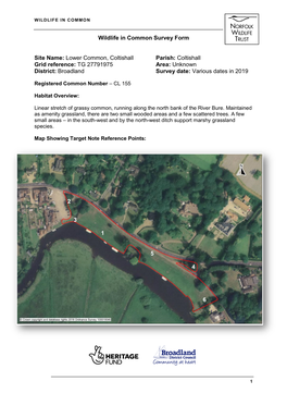Lower Common, Coltishall Parish: Coltishall Grid Reference: TG 27791975 Area: Unknown District: Broadland Survey Date: Various Dates in 2019