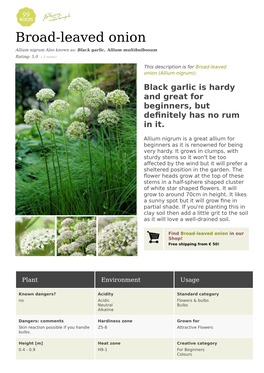 Broad-Leaved Onion Allium Nigrum Also Known As: Black Garlic, Allium Multibulbosum Rating: 5.0 ( 3 Votes)