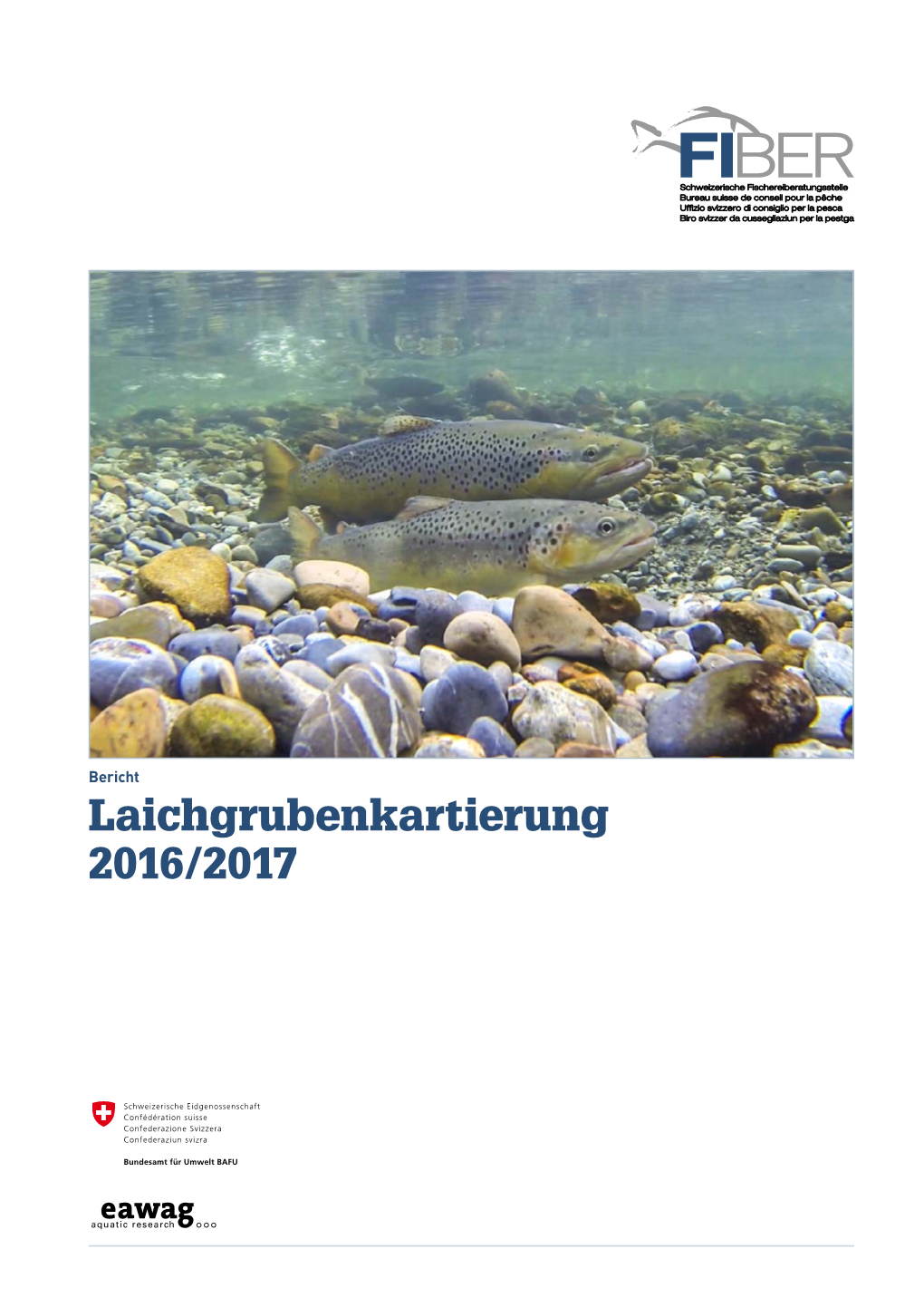 Kartierungsbericht 2016/2017