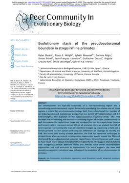 Evolutionary Stasis of the Pseudoautosomal Boundary in Strepsirrhine Primates