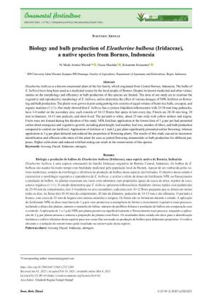 Biology and Bulb Production of Eleutherine Bulbosa