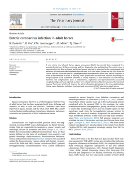 Enteric Coronavirus Infection in Adult Horses