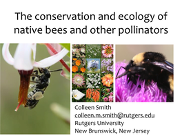 The Conservation and Ecology of Native Bees and Other Pollinators