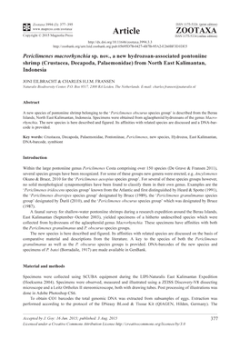 Periclimenes Macrorhynchia Sp. Nov., a New Hydrozoan-Associated Pontoniine Shrimp (Crustacea, Decapoda, Palaemonidae) from North East Kalimantan, Indonesia