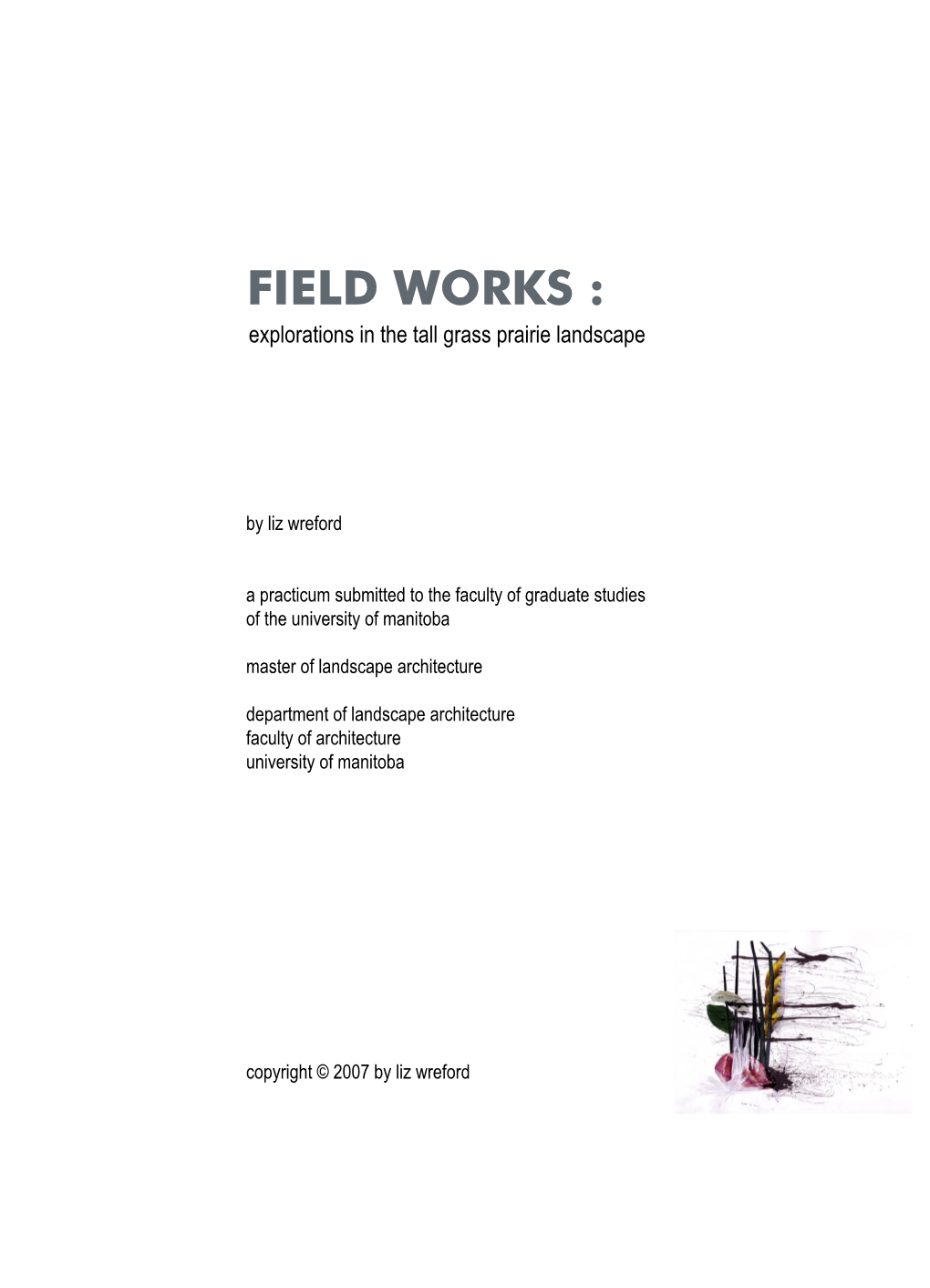 FIELD WORKS : Explorations in the Tall Grass Prairie Landscape