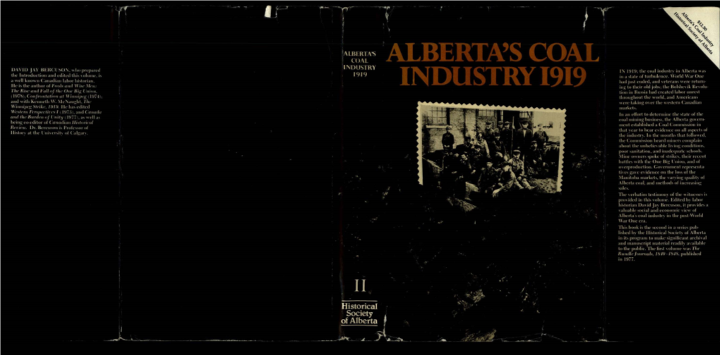 Alberta Coal Industry in 1919 and the Main Concerns of the People Connected with It