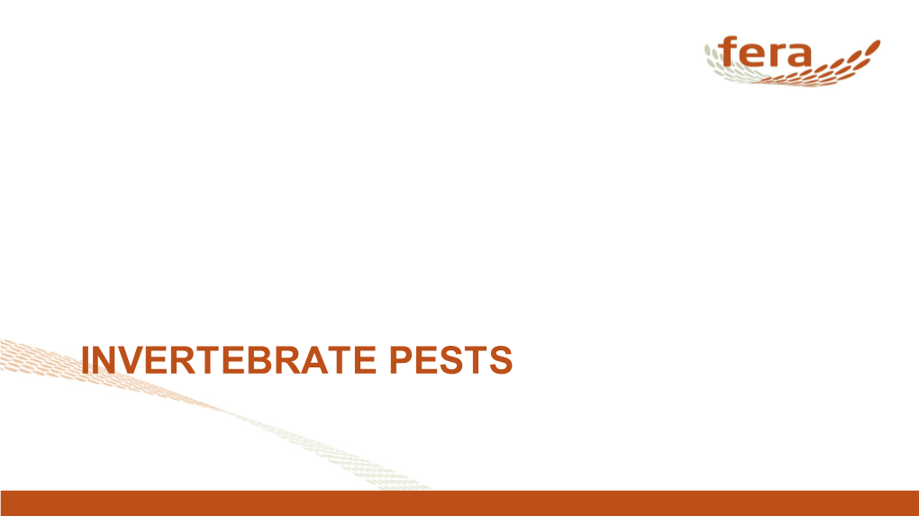 INVERTEBRATE PESTS Plant Pests – Main Groups of Pests