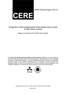 CERE Working Paper, 2017:6 Perspectives on the Transformation