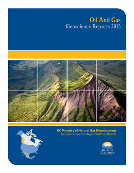 Oil and Gas Geoscience Reports 2013