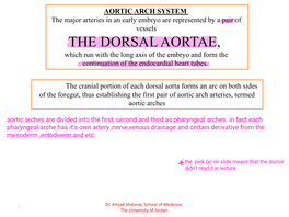 THE DORSAL AORTAE, Which Run with the Long Axis of the Embryo and Form the Continuation of the Endocardial Heart Tubes
