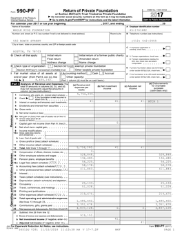 2017 990 Tax Filing