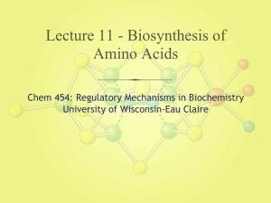 Lecture 11 - Biosynthesis of Amino Acids