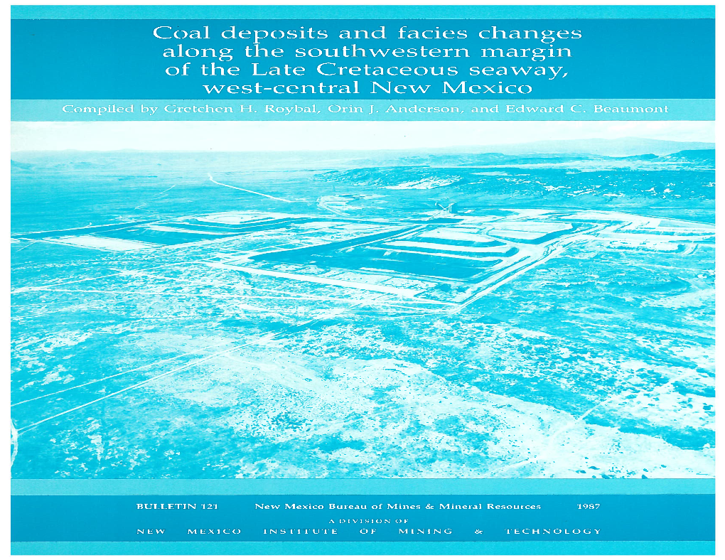 Coal Deposits and Facies Changes Along the Southwestern Margin of the Late Cretaceous Seaway, West-Central New Mexico