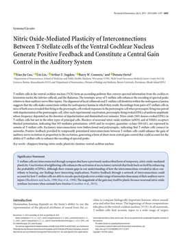 Nitric Oxide-Mediated Plasticity of Interconnections