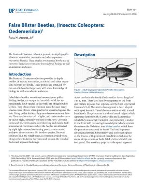 False Blister Beetles, (Insecta: Coleoptera: Oedemeridae)1 Ross H
