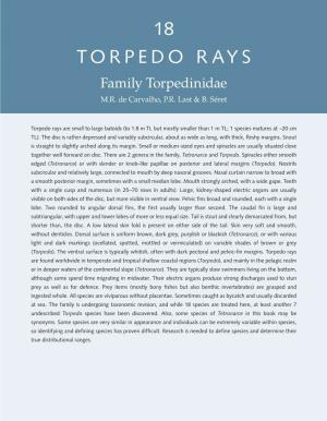TORPEDO RAYS Family Torpedinidae M.R