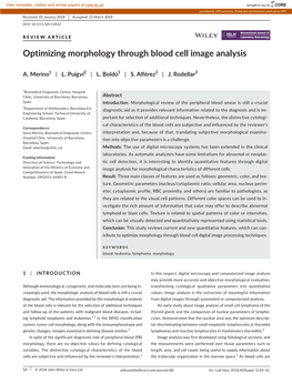 Optimizing Morphology Through Blood Cell Image Analysis