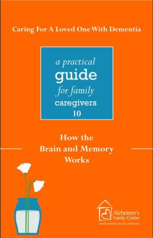 How the Brain and Memory Works 10