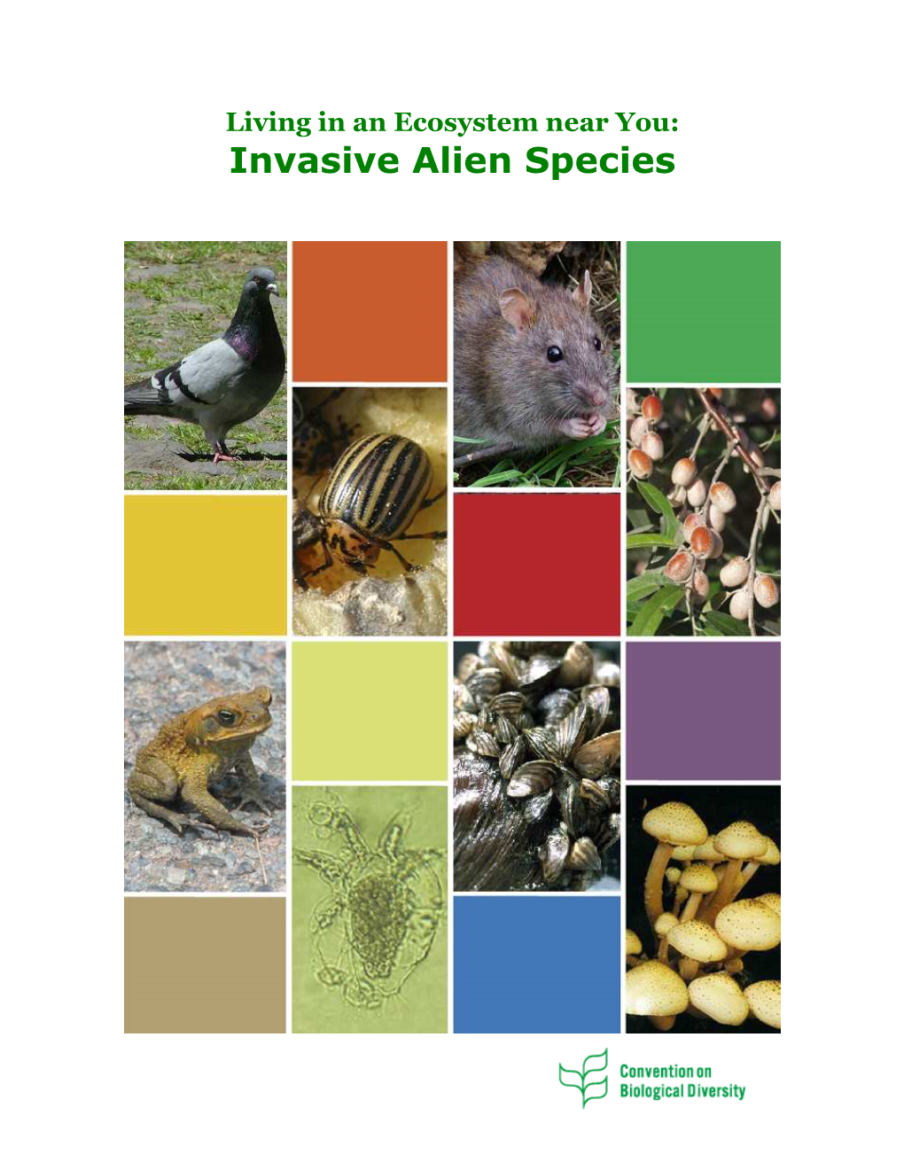 Invasive Alien Species